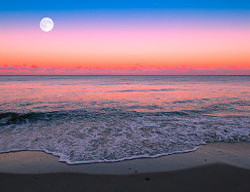 Moonrise at the beach