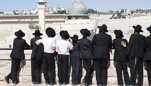 Haredim