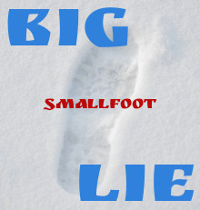 Human footprint in snow