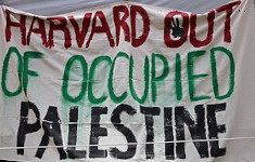 Anti-Israel protest sign