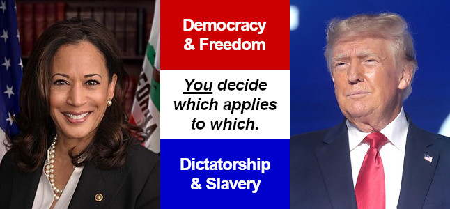 Trump and Harris-you decide